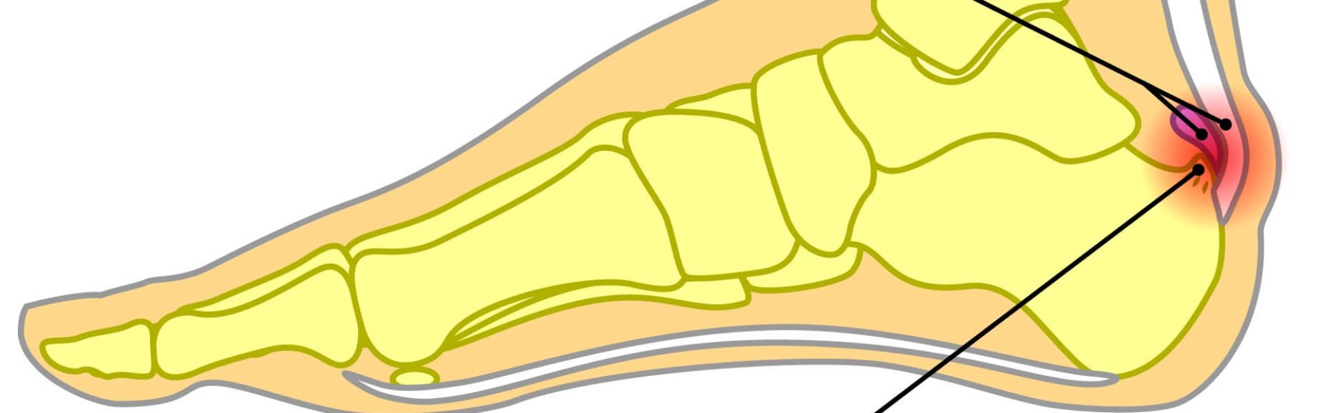 shutterstock_470719709 [Converted]